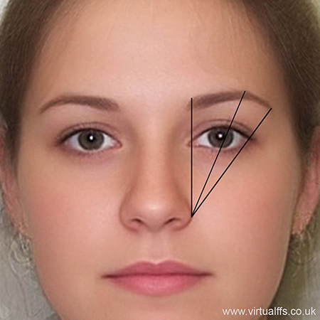 standard eyebrow plucking diagram
